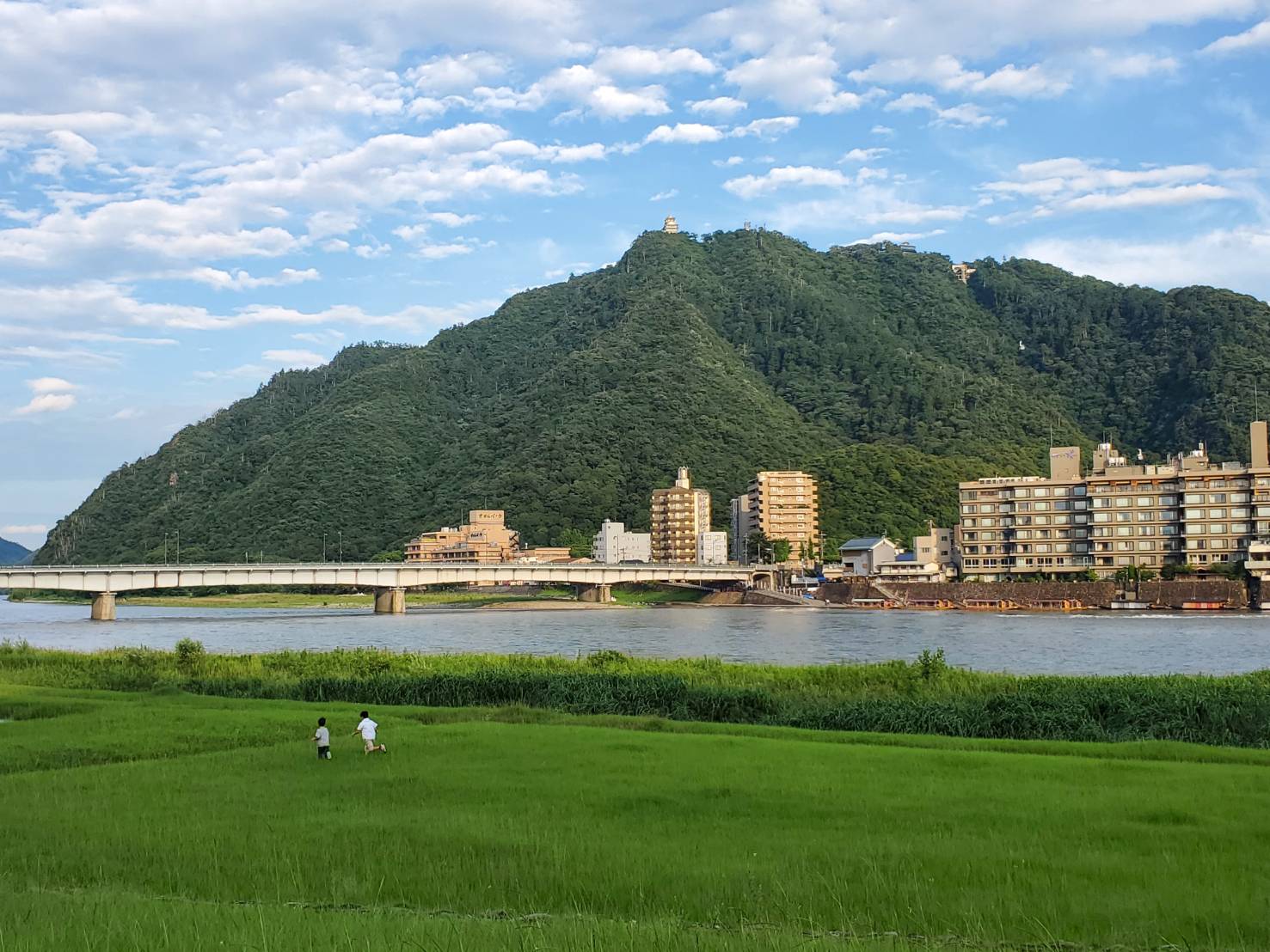 岐阜柔道協会